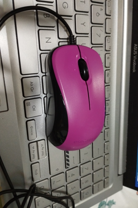 Mouse